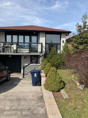 Private walkout apartment @ Steeles & Islington